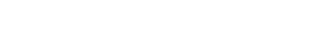 Experience Companion